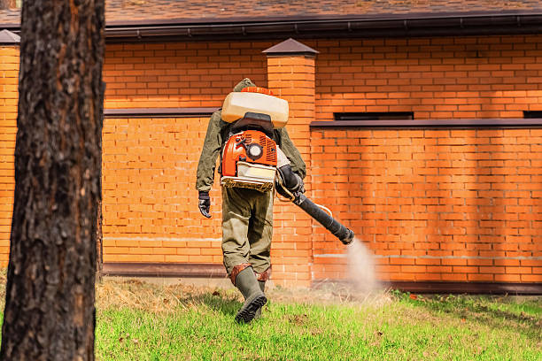 Trusted Cockroach Control service in Naples, UT - Nex Pest Control